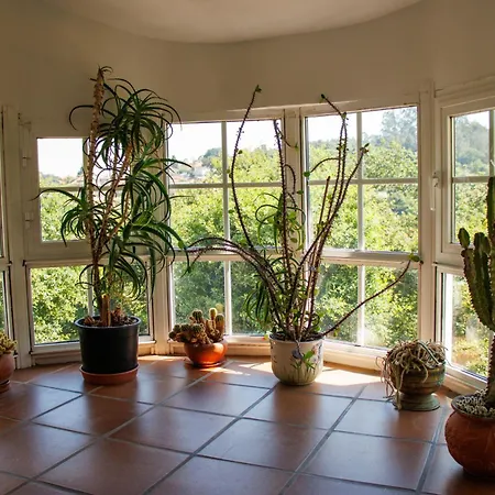 Casa Santi - 10 Minutos De Santiago Prázdninový dům Santiago de Compostela